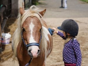 Kind bem striegeln eines Ponys