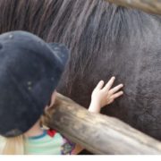 Bauernhof Eifel: Kind beim streicheln eines Ponys